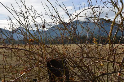 DSC_5839 (Large).JPG